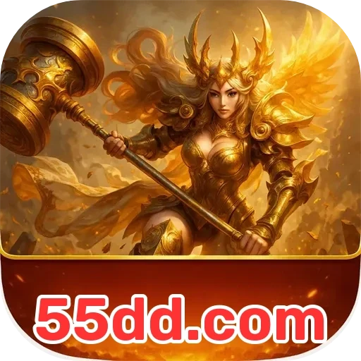 55dd.com Plataforma